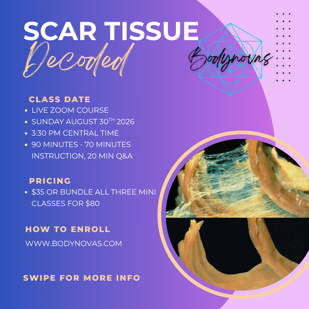Scar Tissue Live Mini Course