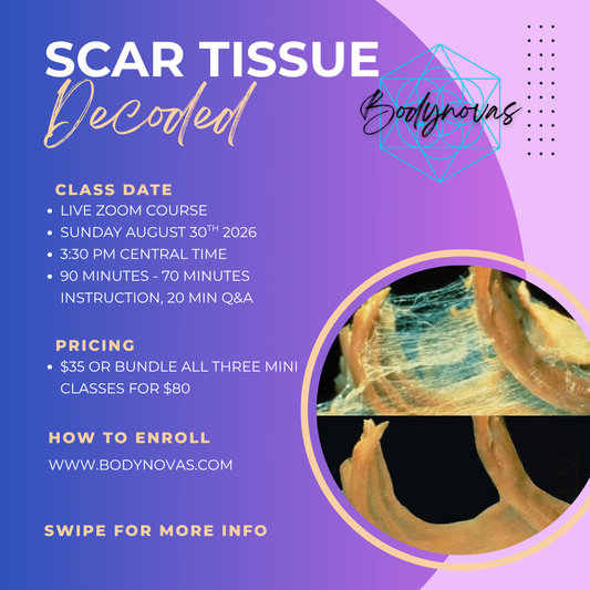Scar Tissue Live Mini Course